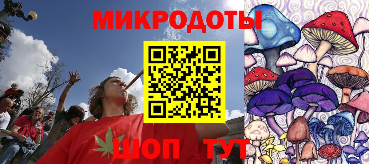Галлюциногенные грибы Psilocybe Назарово